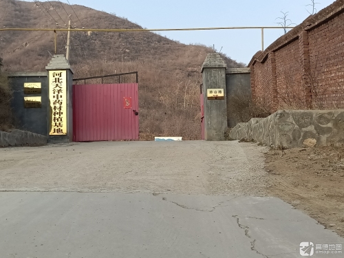 河北天泽中药材种植基地
