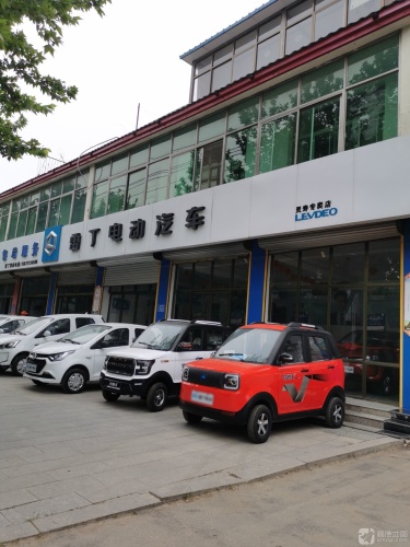 雷丁电动汽车(灵寿旗舰店)