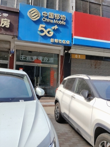 中国移动(智顺社区店)