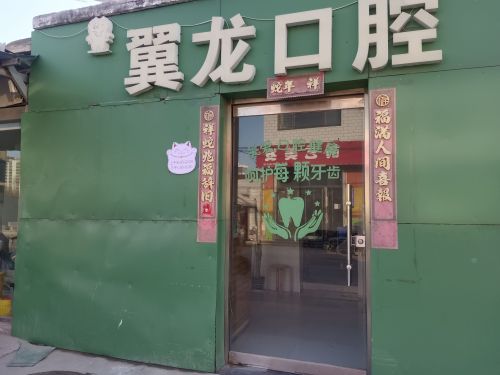 翼龙口腔