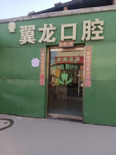 翼龙口腔