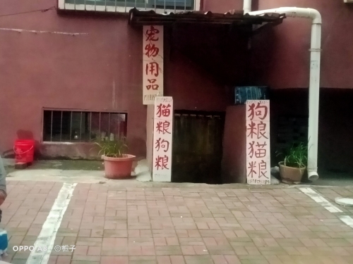 狗粮