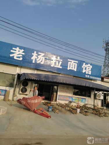 老杨拉面馆