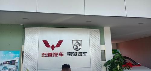 上汽通用五菱(翠柏大街店)