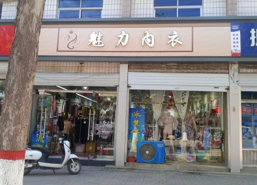 魅力内衣(铜冶店)
