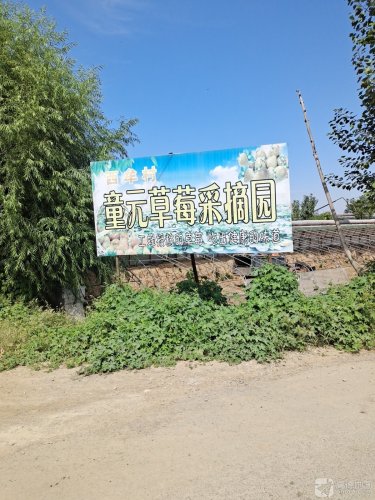 临城县童元草莓采摘园
