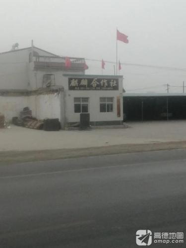 麒麟合作社
