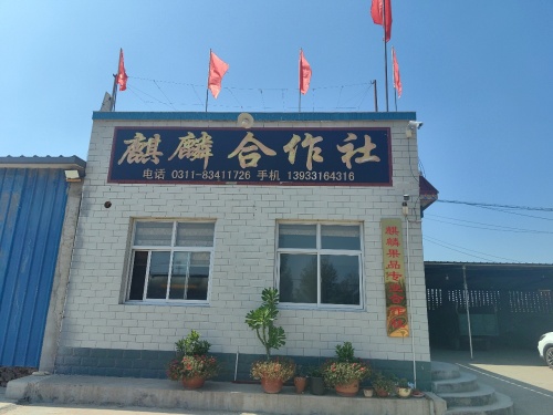 麒麟合作社