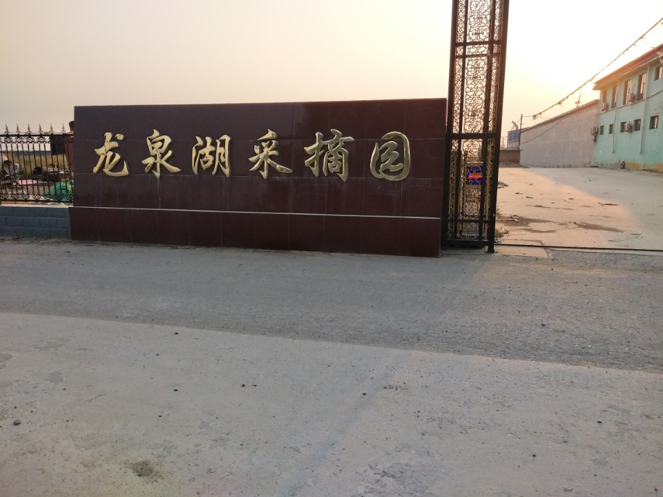 龙泉湖采摘园