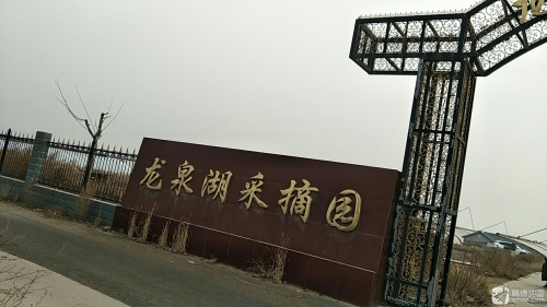 龙泉湖采摘园