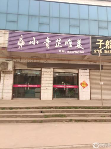 小青芷唯美