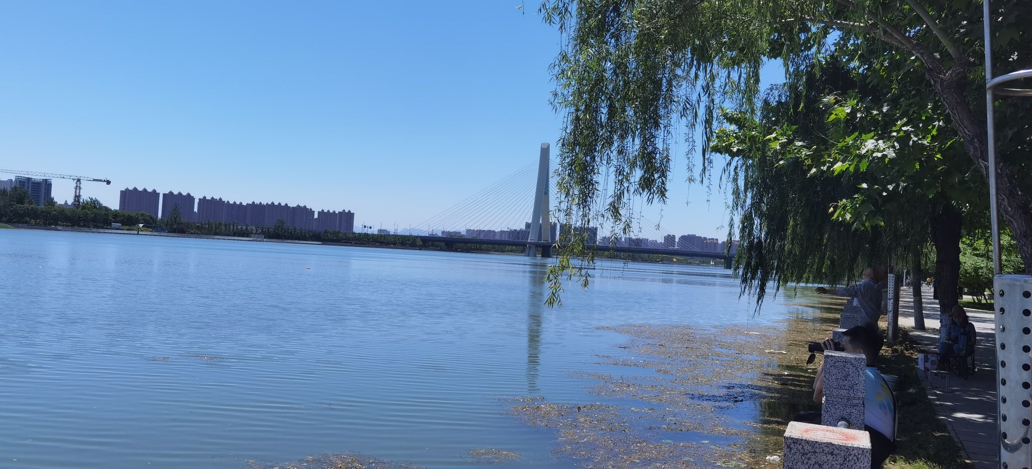 汊河风景带