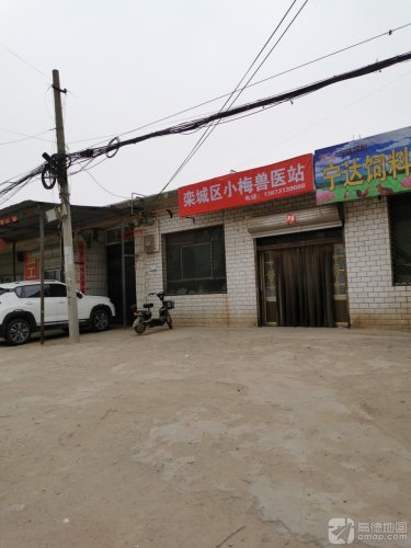 栾城区小梅兽医站