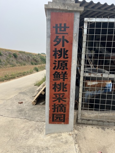 世外桃源鲜桃采摘园