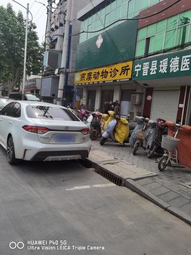 燕廮动物诊所