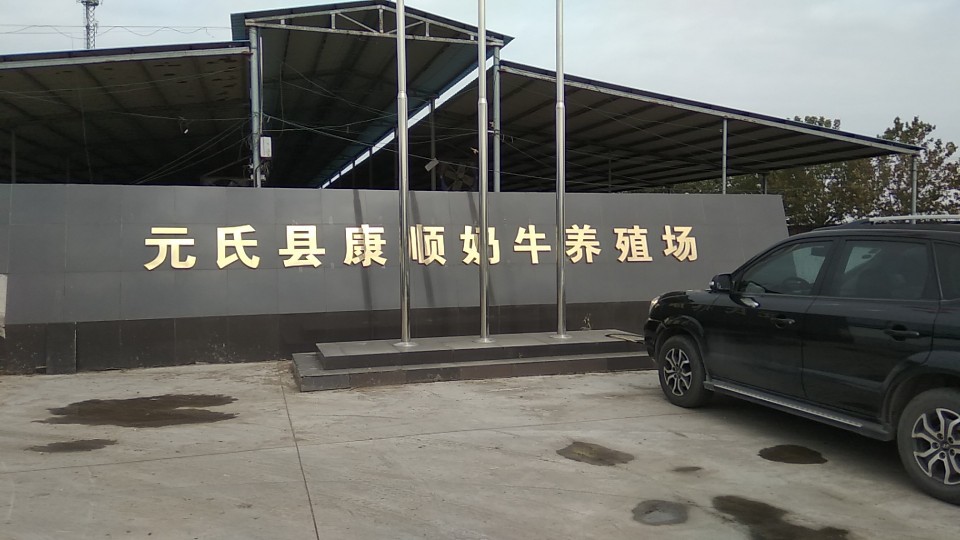 元氏县康顺奶牛养殖场