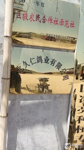 久仁鸽业