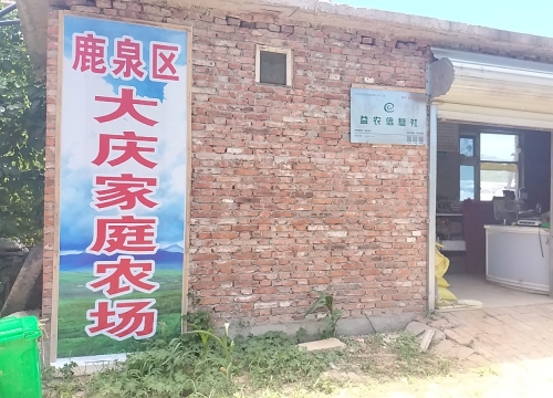 鹿泉区大庆家庭农场