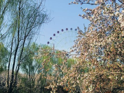 摩天轮