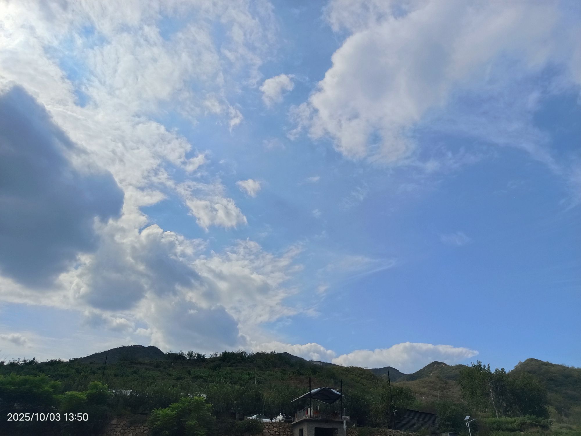 杏林苑垂钓场