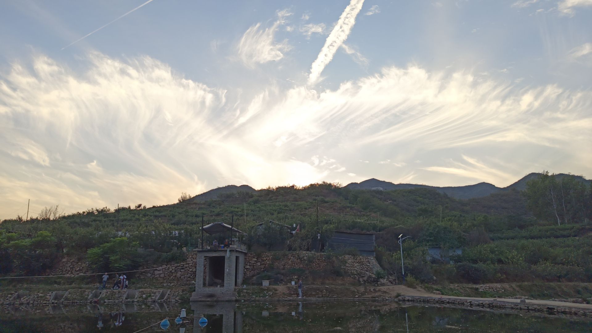 杏林苑垂钓场