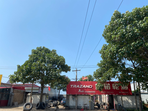 北辛庄经销各种轮胎