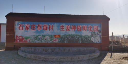 鹿泉区理享家庭农场草莓村(暂停营业)