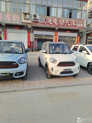 跃迪电动汽车总经销