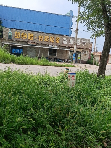 嘉家超市(领世大街店)