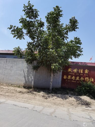赵县盛世佳鑫冷库