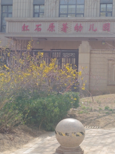 红石原著幼儿园