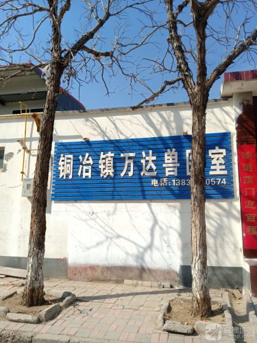 铜冶镇万达兽医室