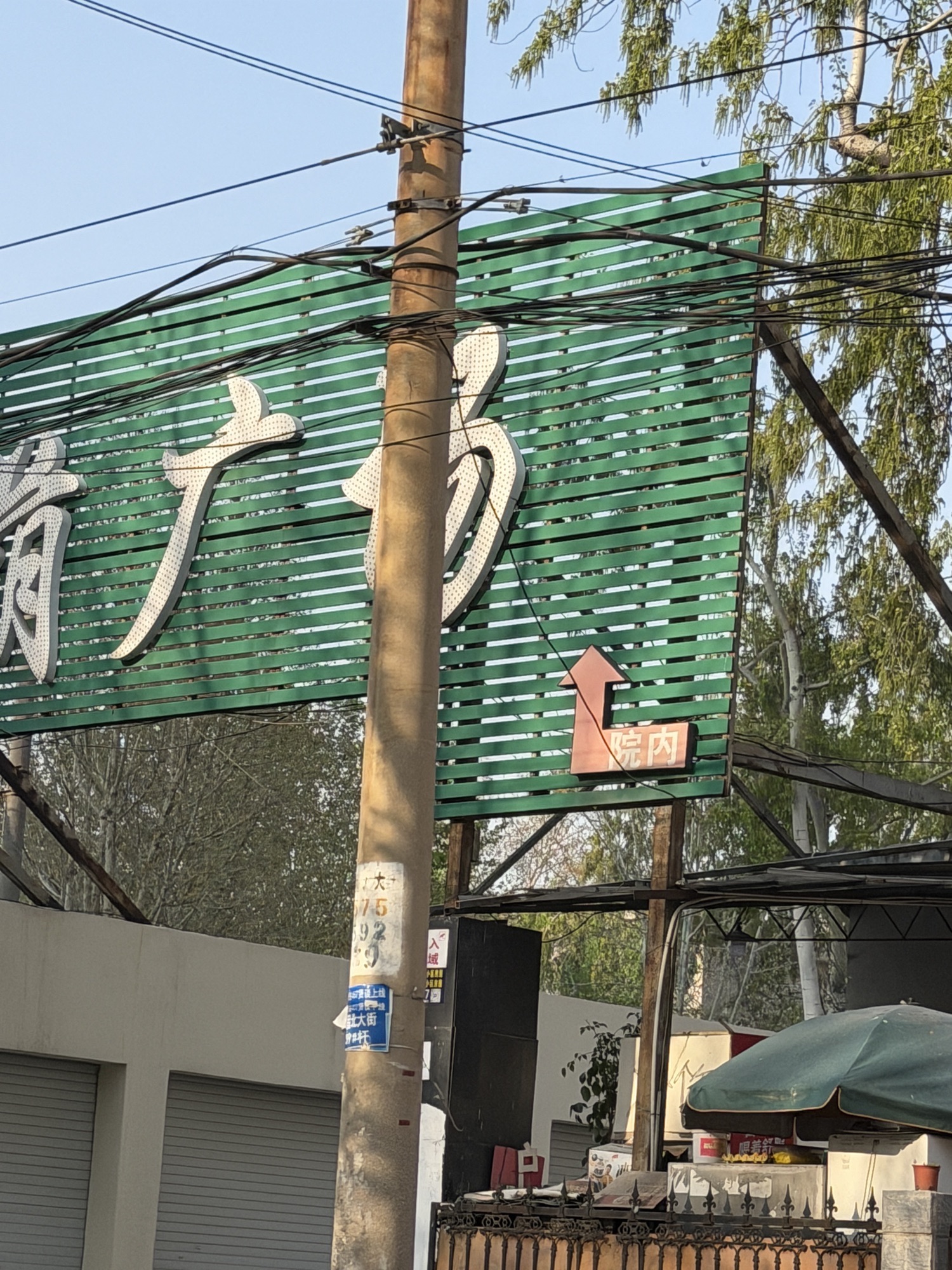 绿荫广场