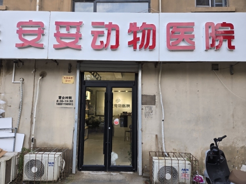 安妥动物医院
