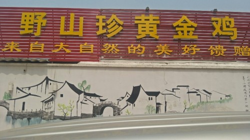 野山珍黄金鸡(总店)