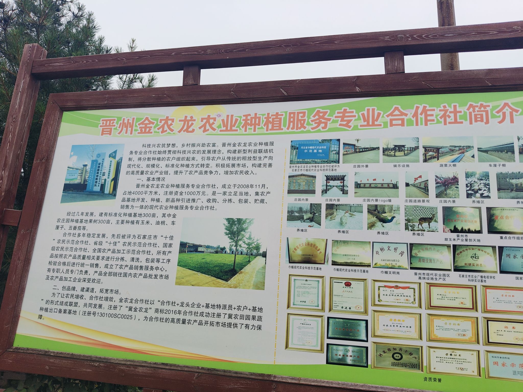 石家庄晋州金农庄园