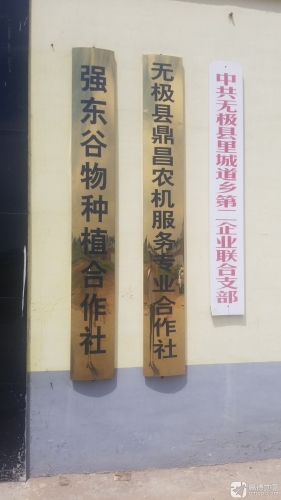 无极县强东谷物种植专业合作社