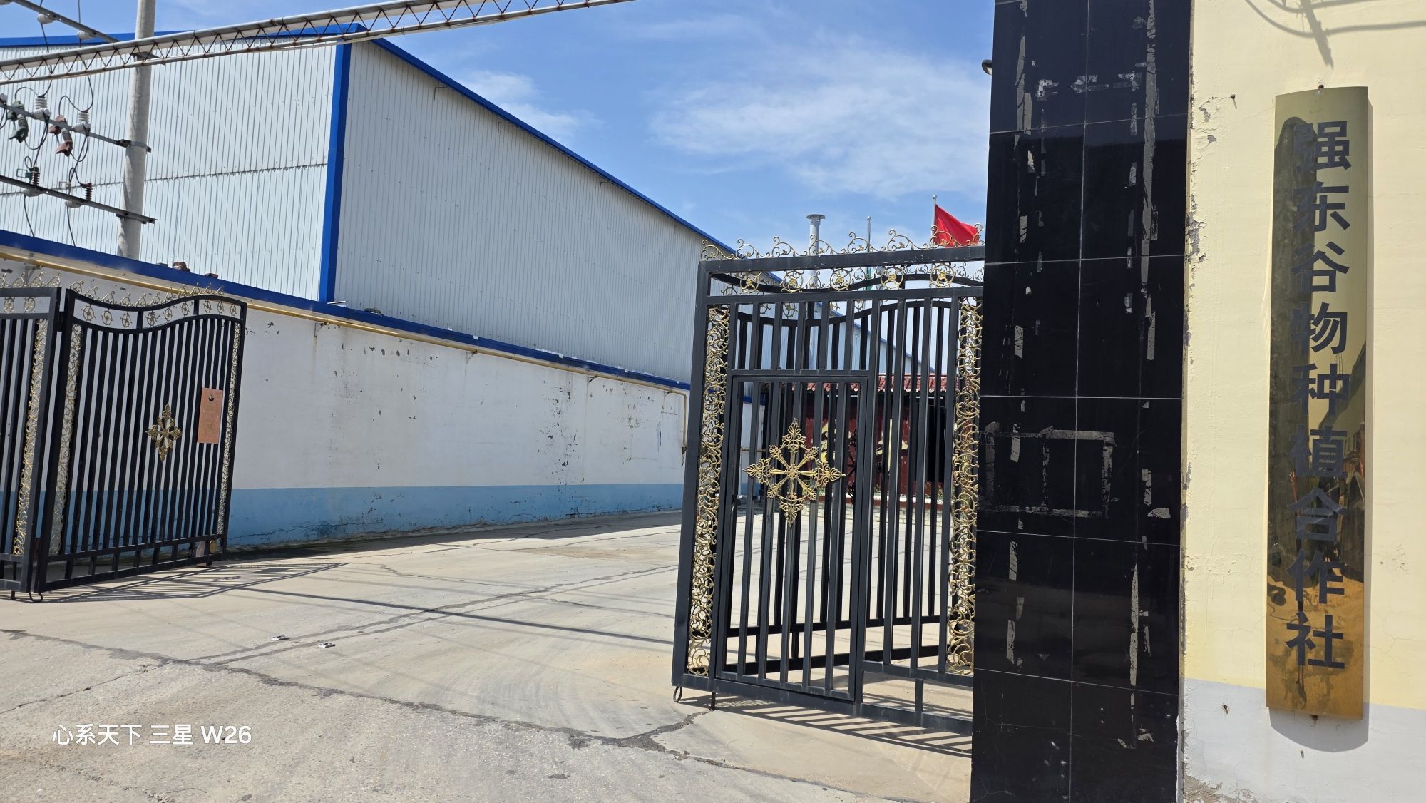 无极县强东谷物种植专业合作社