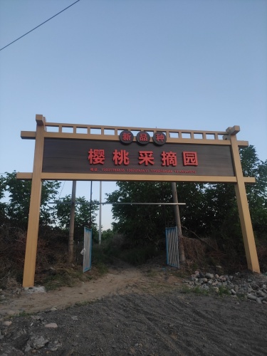 新品种樱桃采摘园建红家