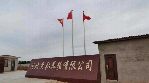 河北旻弘养殖有限公司