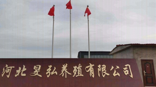 河北旻弘养殖有限公司