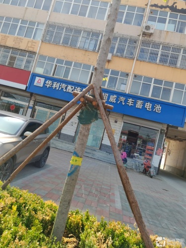华利汽配连锁店(元氏店)