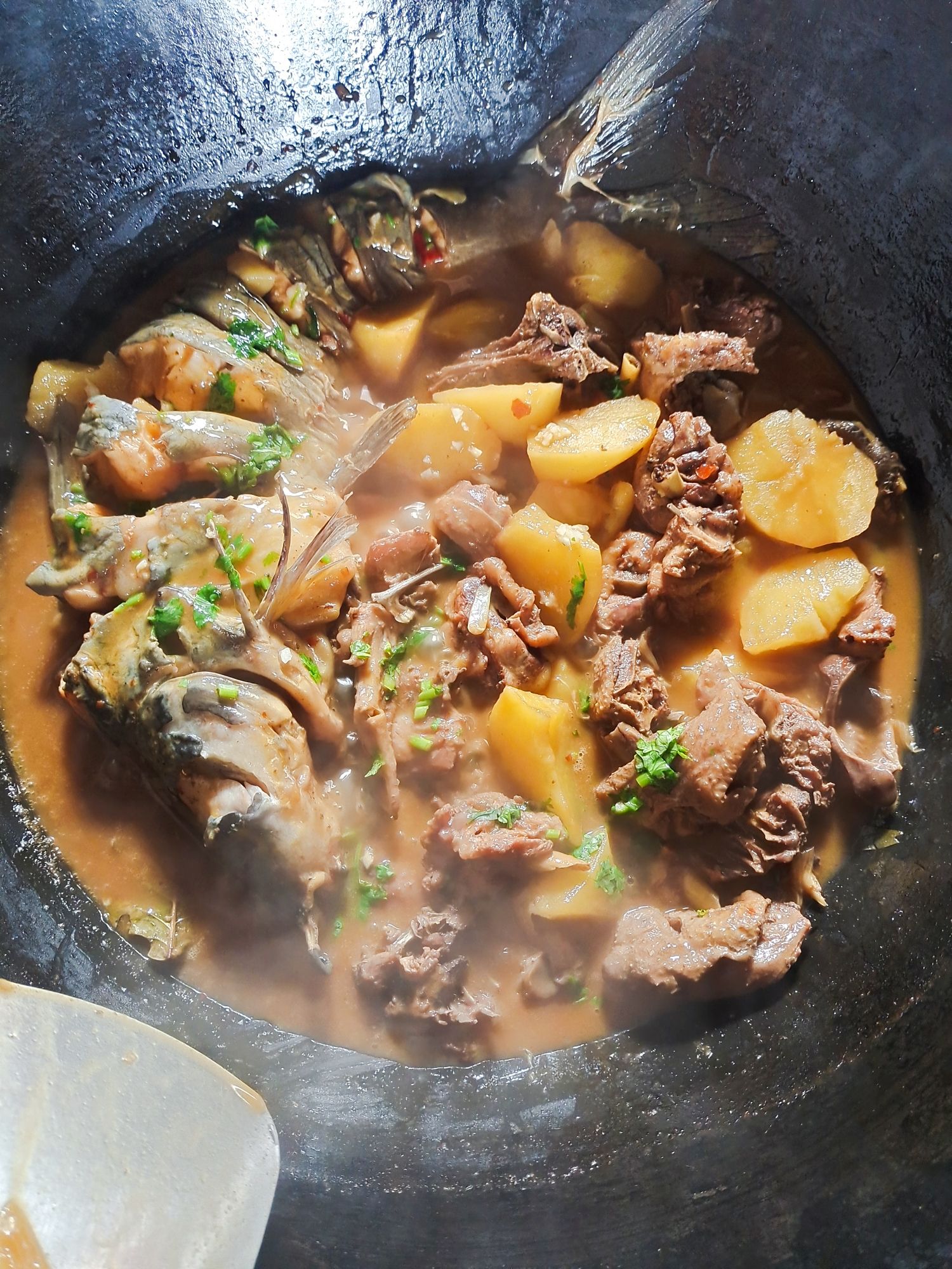 张家灶台鱼