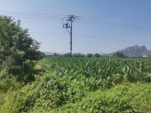 和晟农场