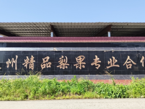 赵州精品梨果专业合作社冷库