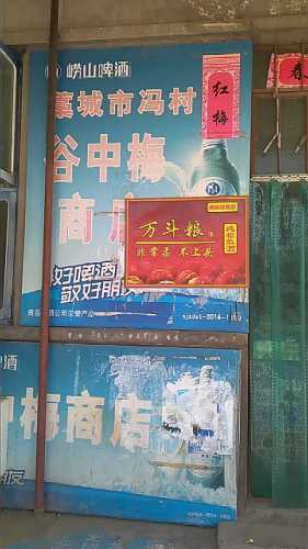 谷中梅商店