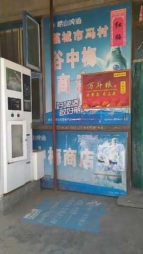 谷中梅商店
