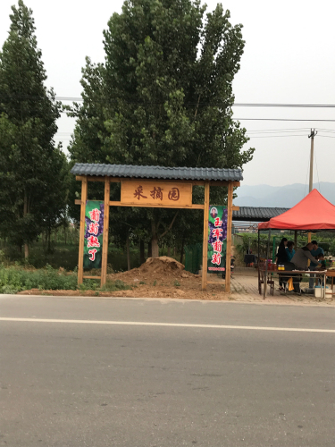 玉军葡萄采摘园