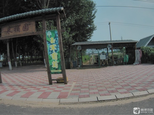 玉军葡萄采摘园