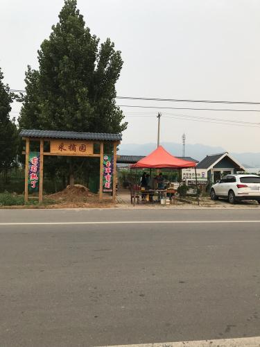 玉军葡萄采摘园